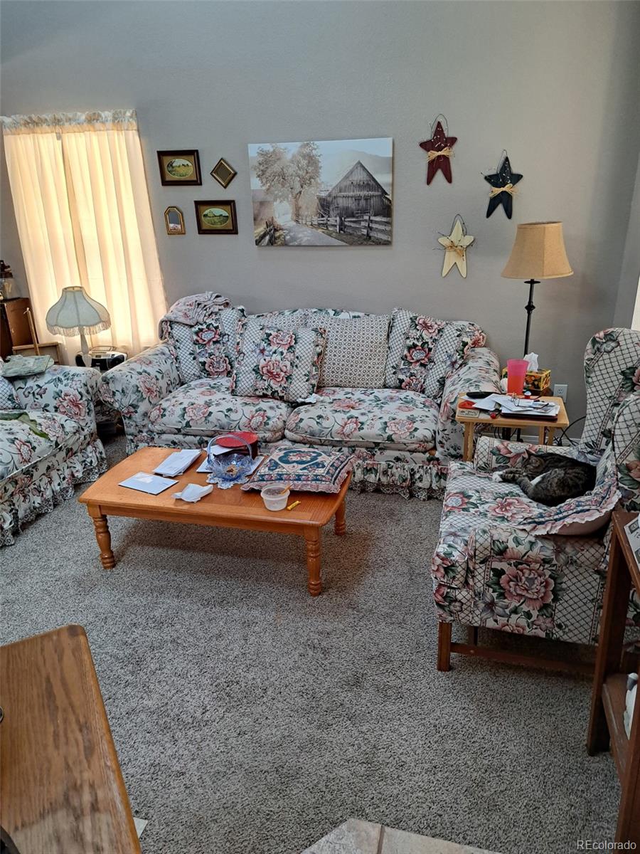 245  Pointer Place, colorado springs&nbsp; House Search MLS Picture