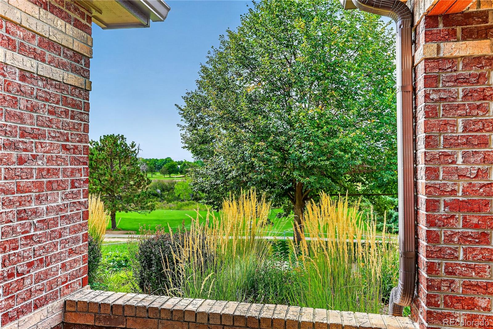 6414  Silver Mesa Drive, highlands ranch&nbsp; House Search MLS Picture