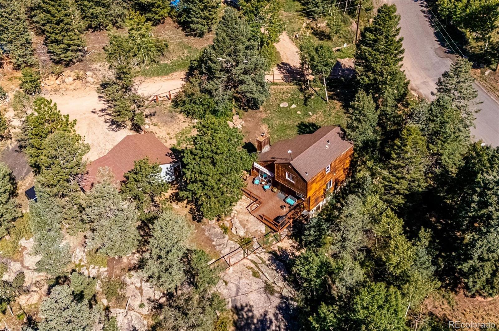 conifer&nbsp; House Search Picture