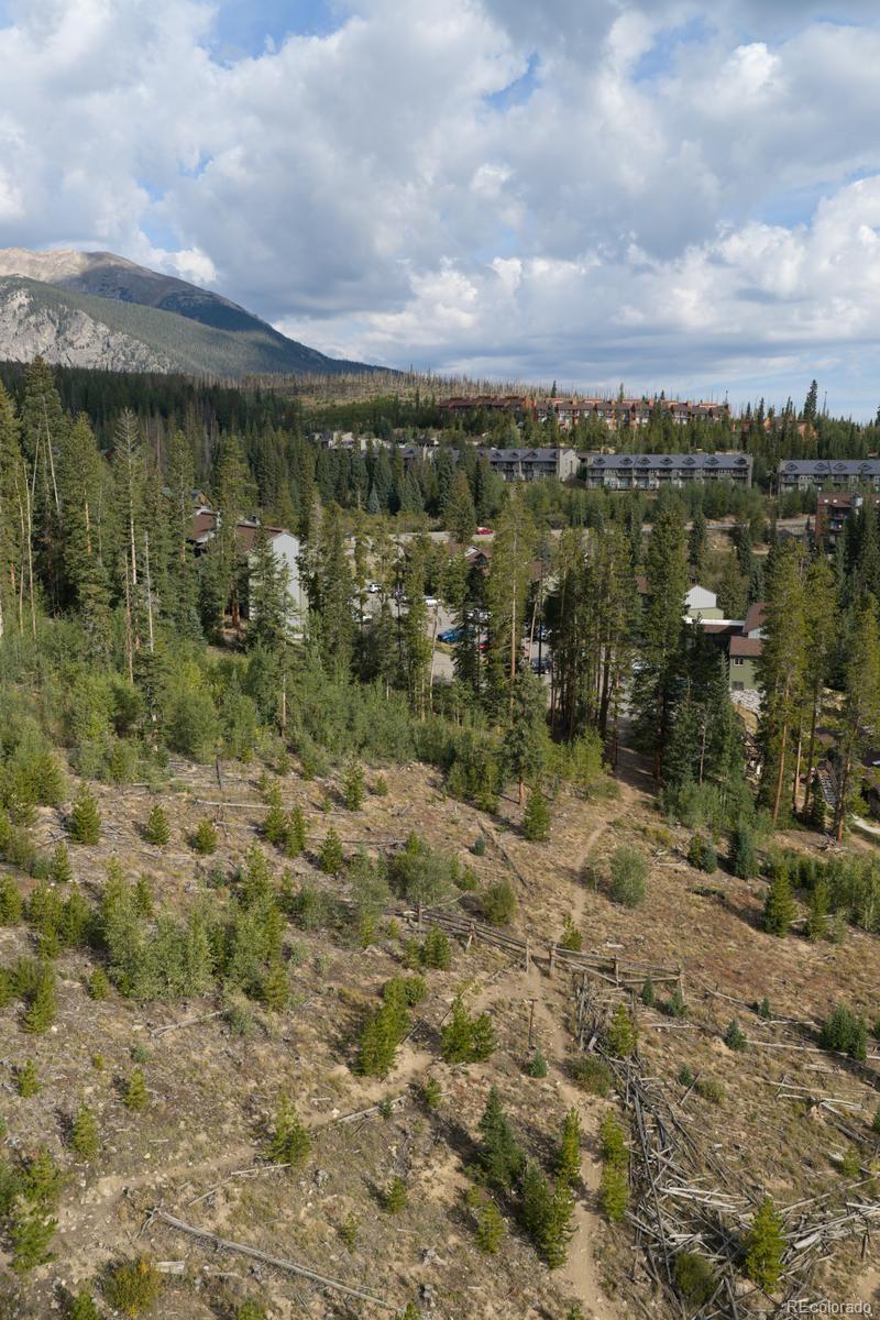 10000  Ryan Gulch Road, silverthorne&nbsp; House Search MLS Picture