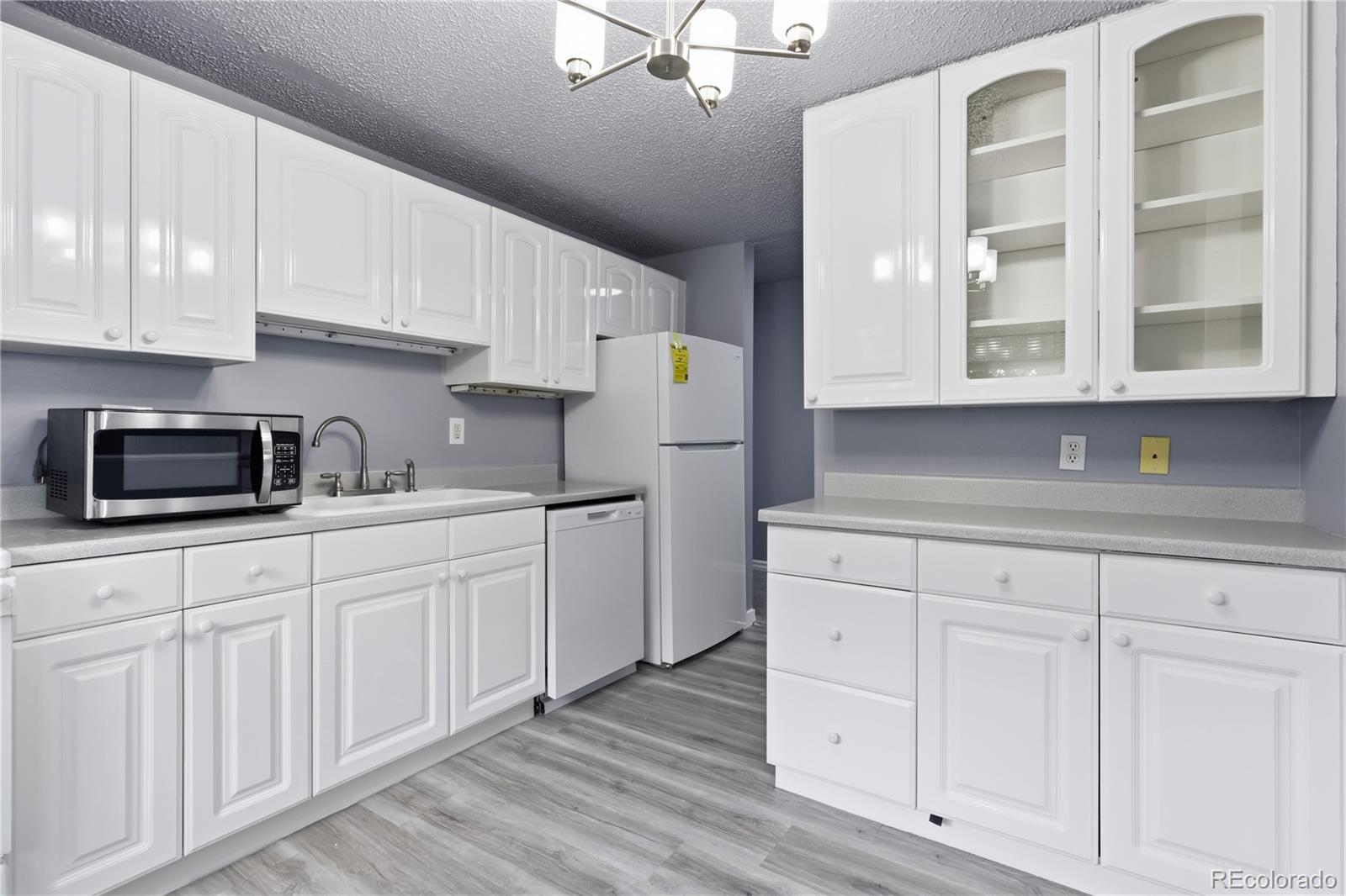 1008 N Corona Street, denver&nbsp; House Search MLS Picture