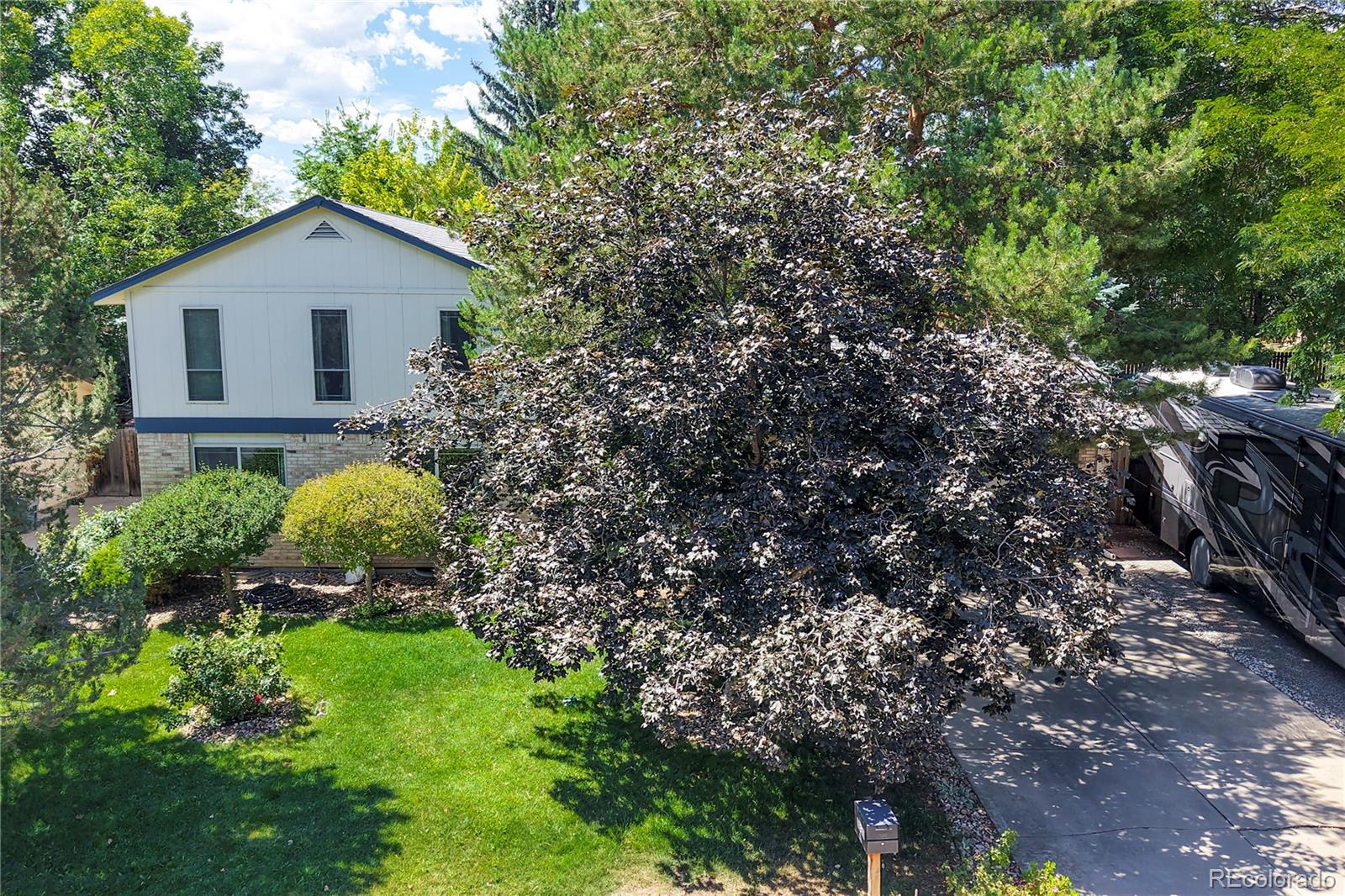 1331  Birch Street, broomfield&nbsp; House Search MLS Picture