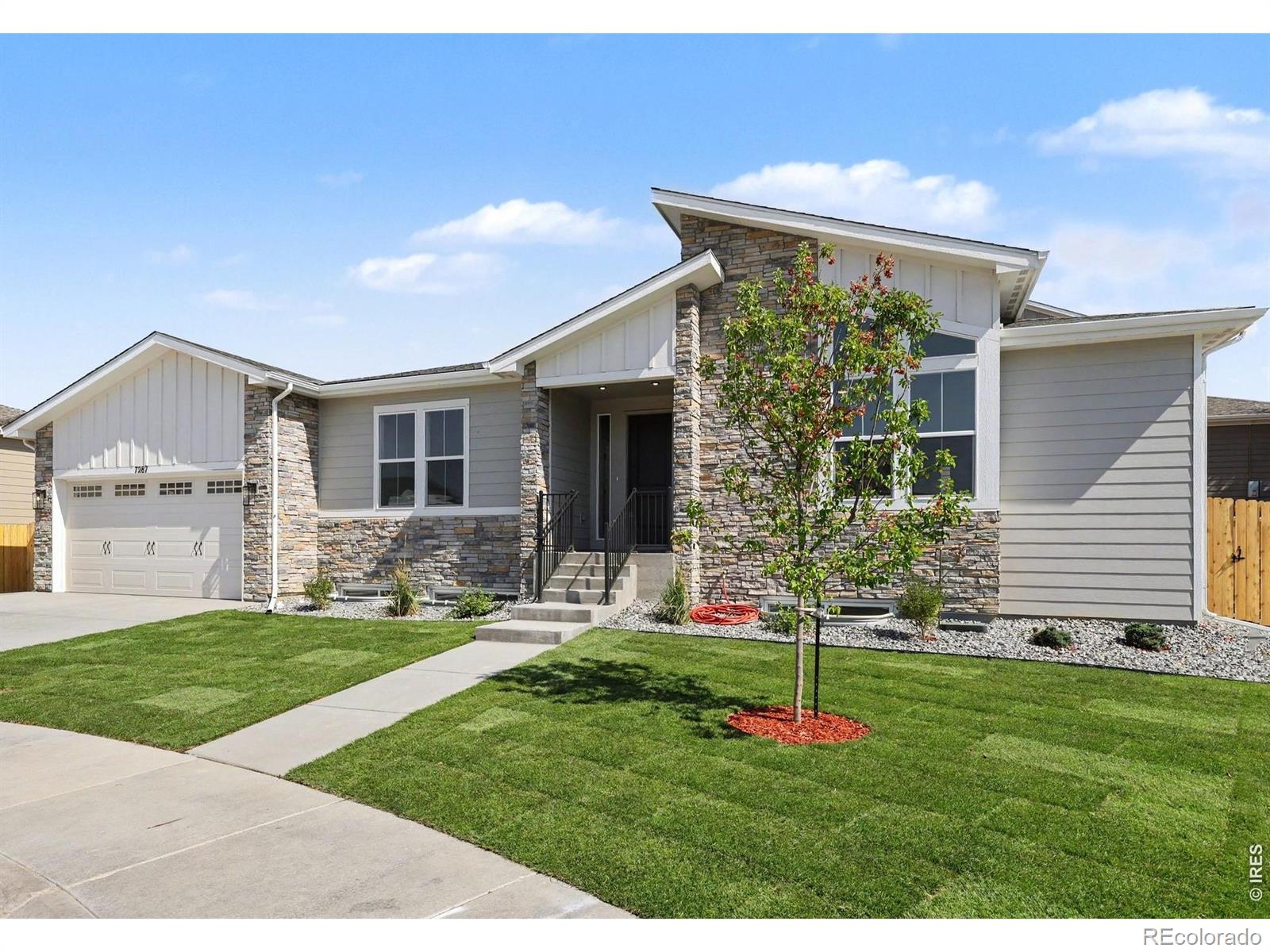 arvada&nbsp; House Search Picture