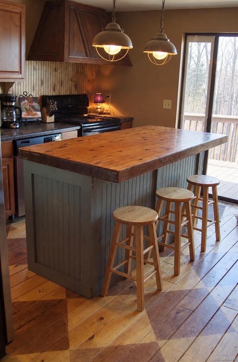 26155 S End Road, kittredge&nbsp; House Search MLS Picture
