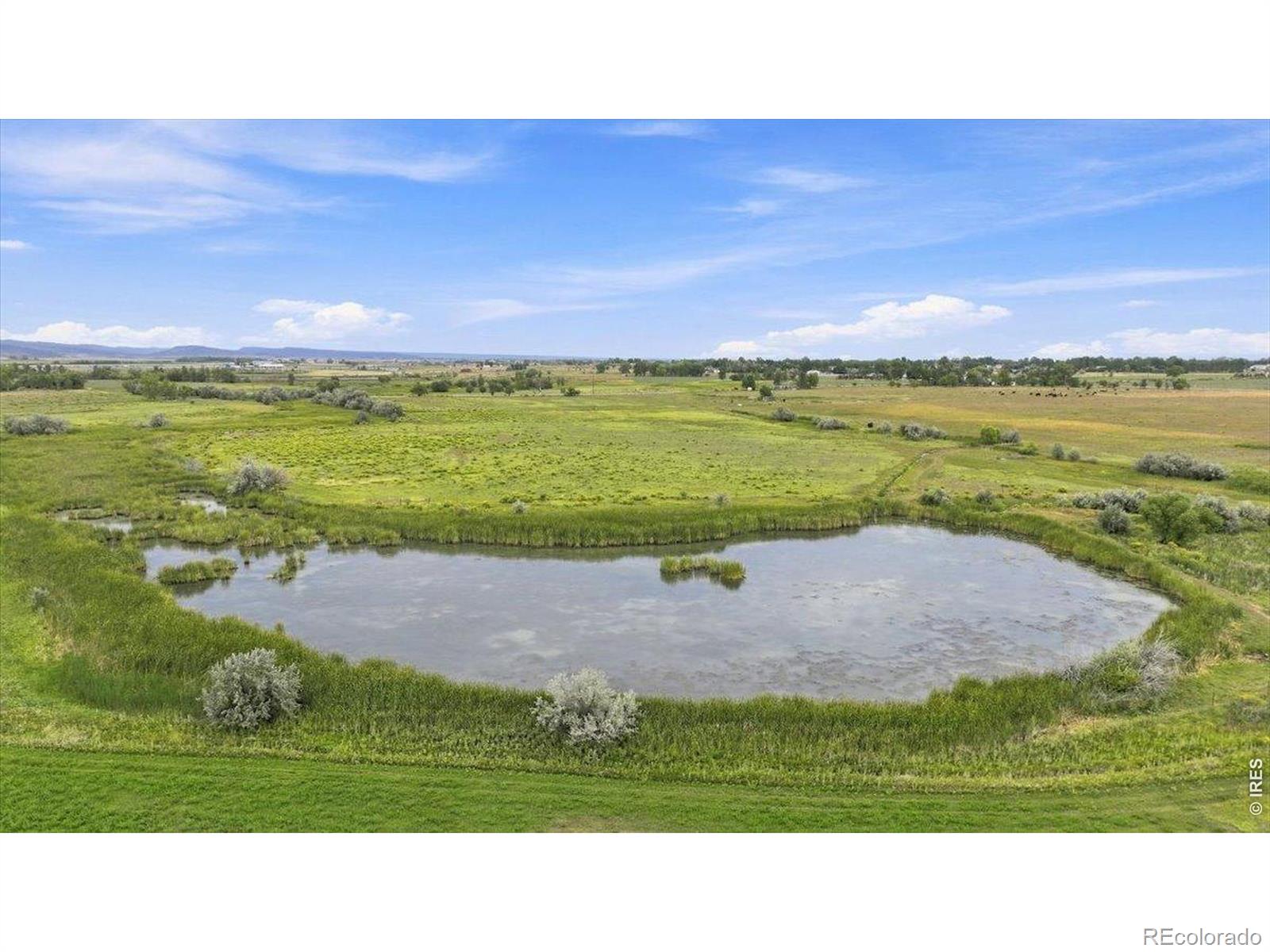 1127 W County Road 66 , fort collins&nbsp; House Search MLS Picture