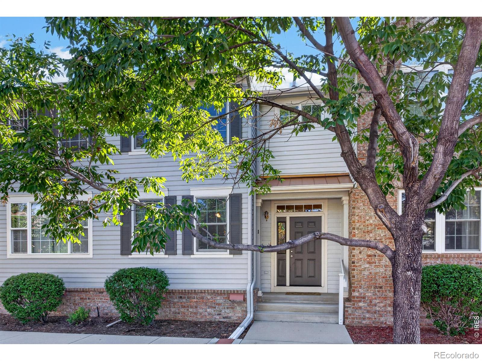 longmont&nbsp; House Search Picture