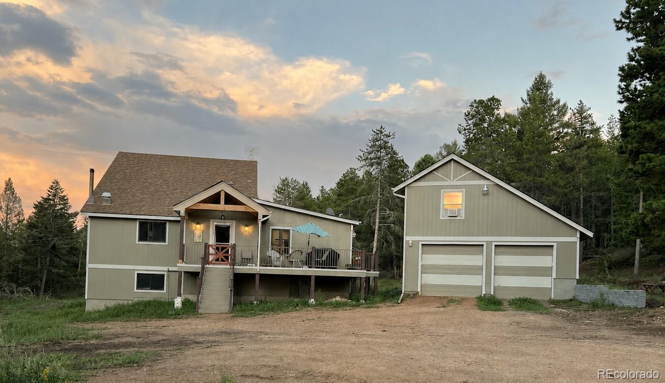 conifer&nbsp; House Search Picture