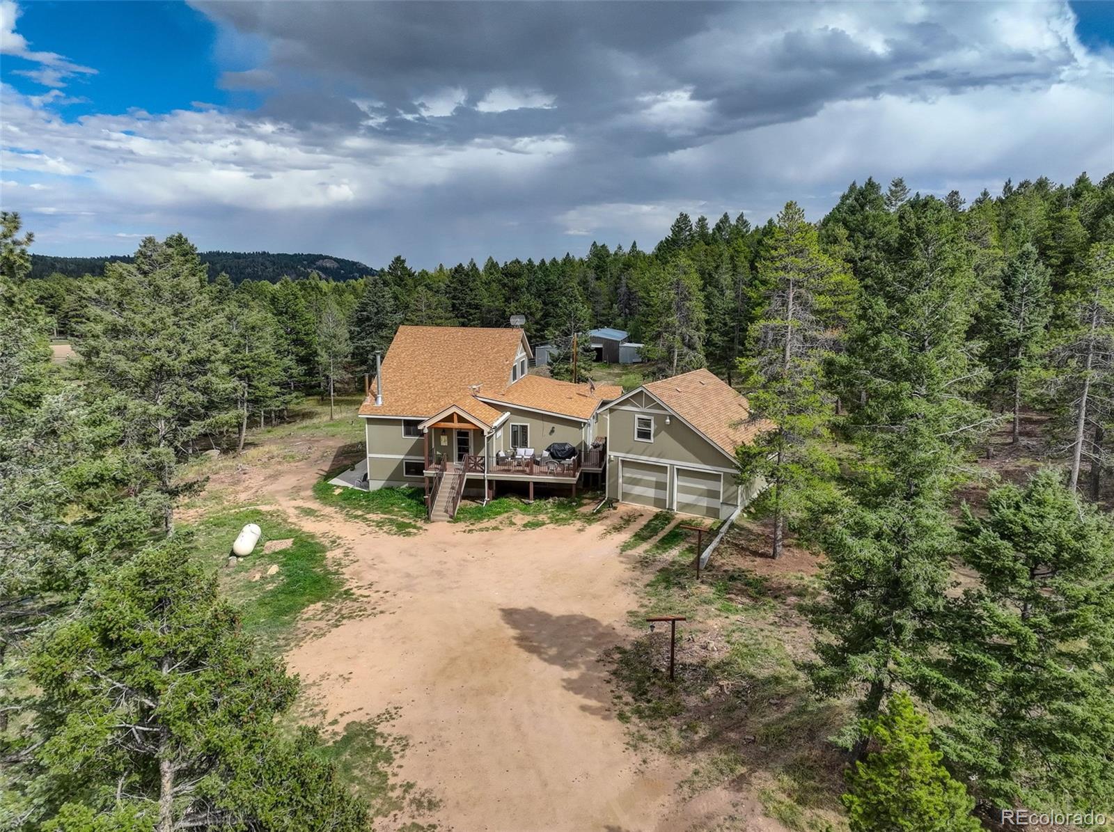 conifer&nbsp; Horse Properties Search Picture