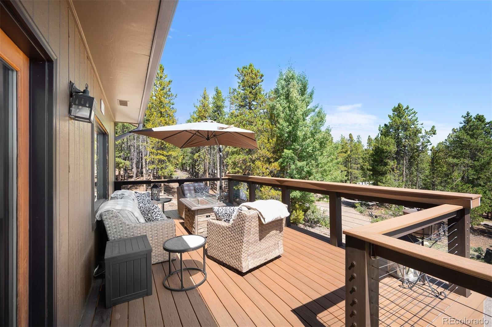 conifer&nbsp; House Search Picture