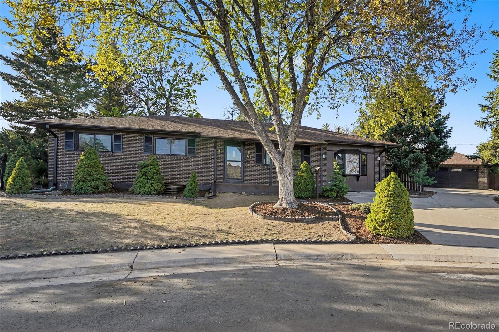 denver&nbsp; House Search Picture
