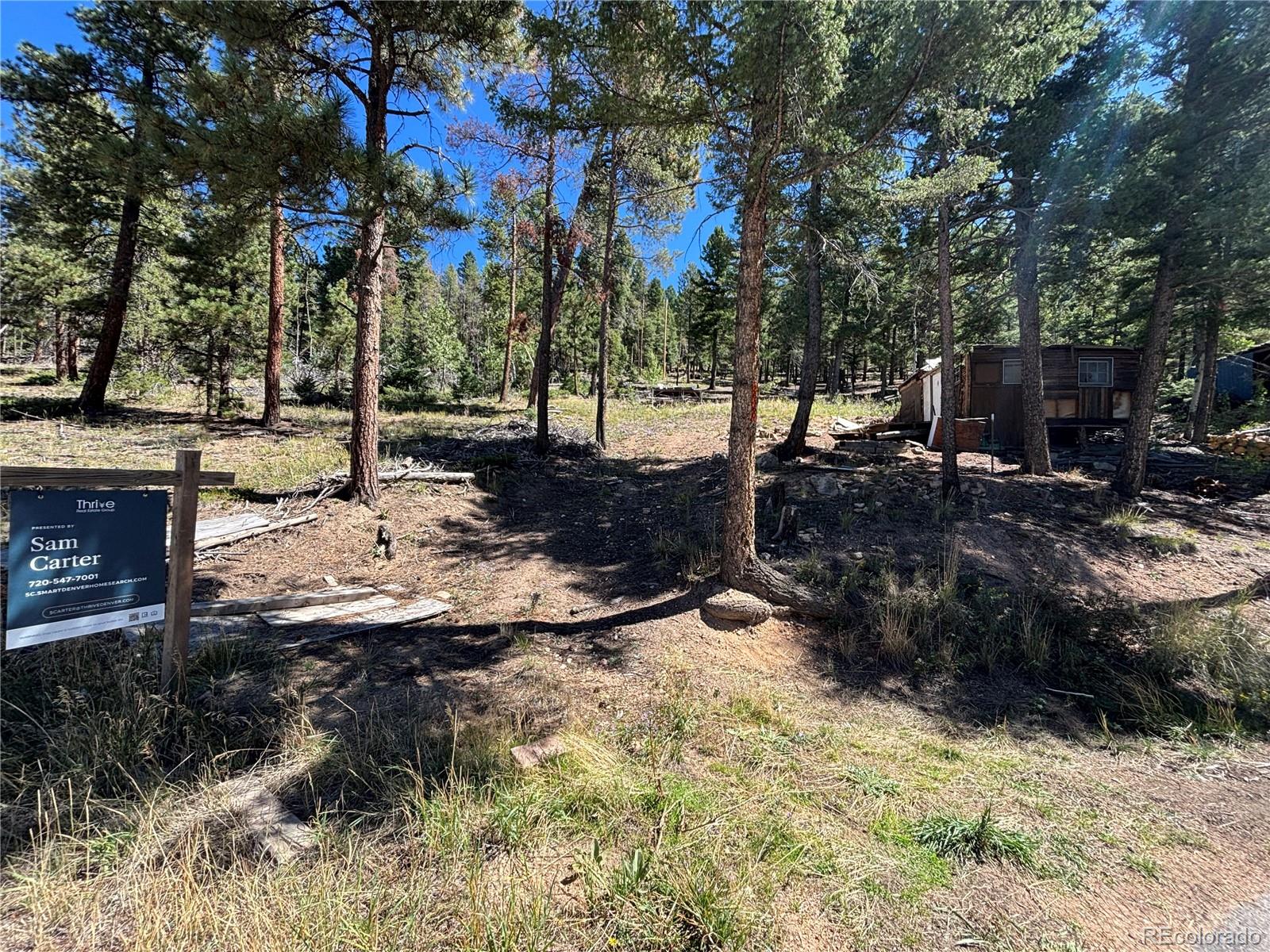  Conifer Home | MLS #: 786632926460  Pleasant Park Road, Conifer Beds: 1 Baths: 0 Price: $90,000