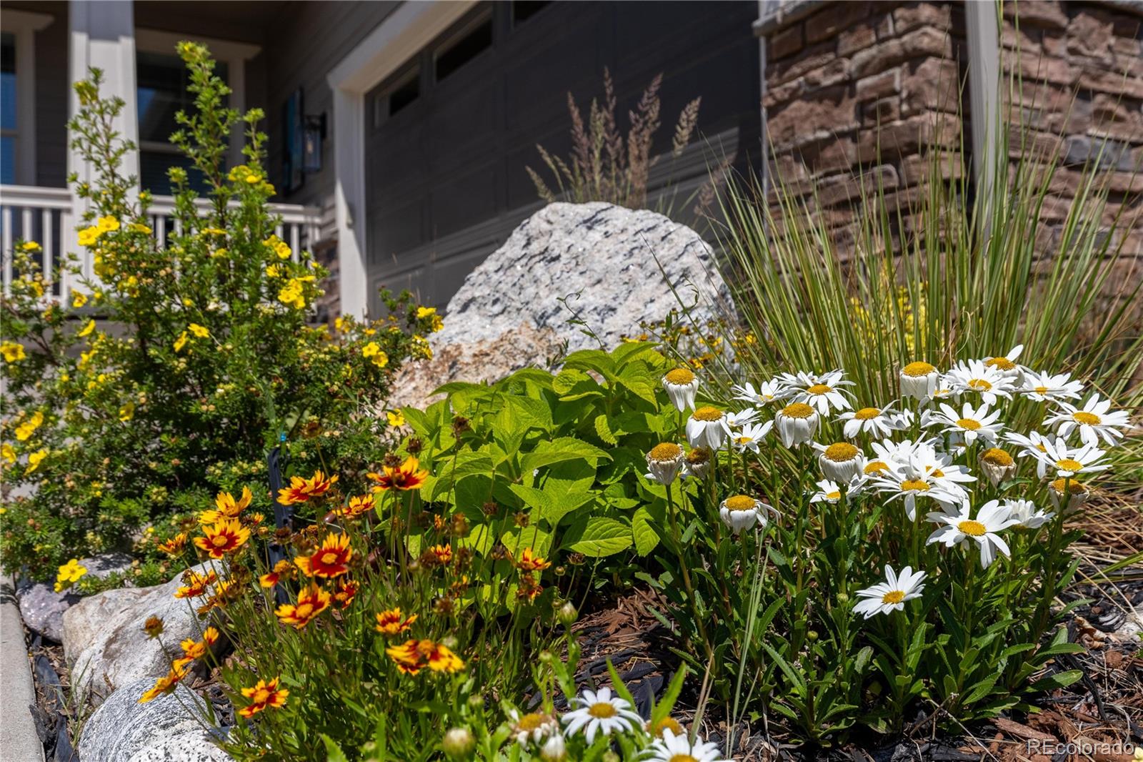 9519  Nile Way, arvada&nbsp; House Search MLS Picture