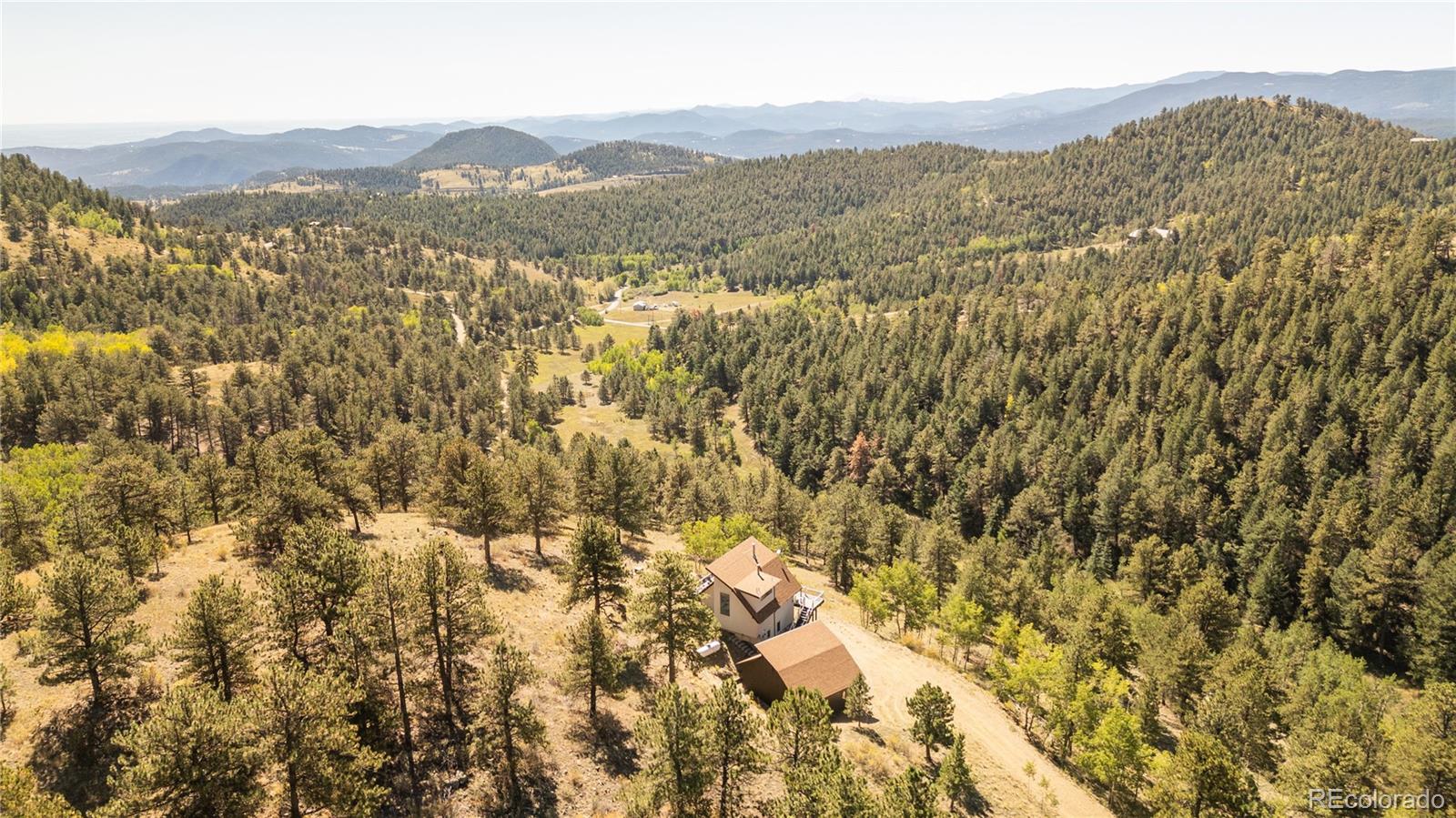 golden&nbsp; Horse Properties Search Picture