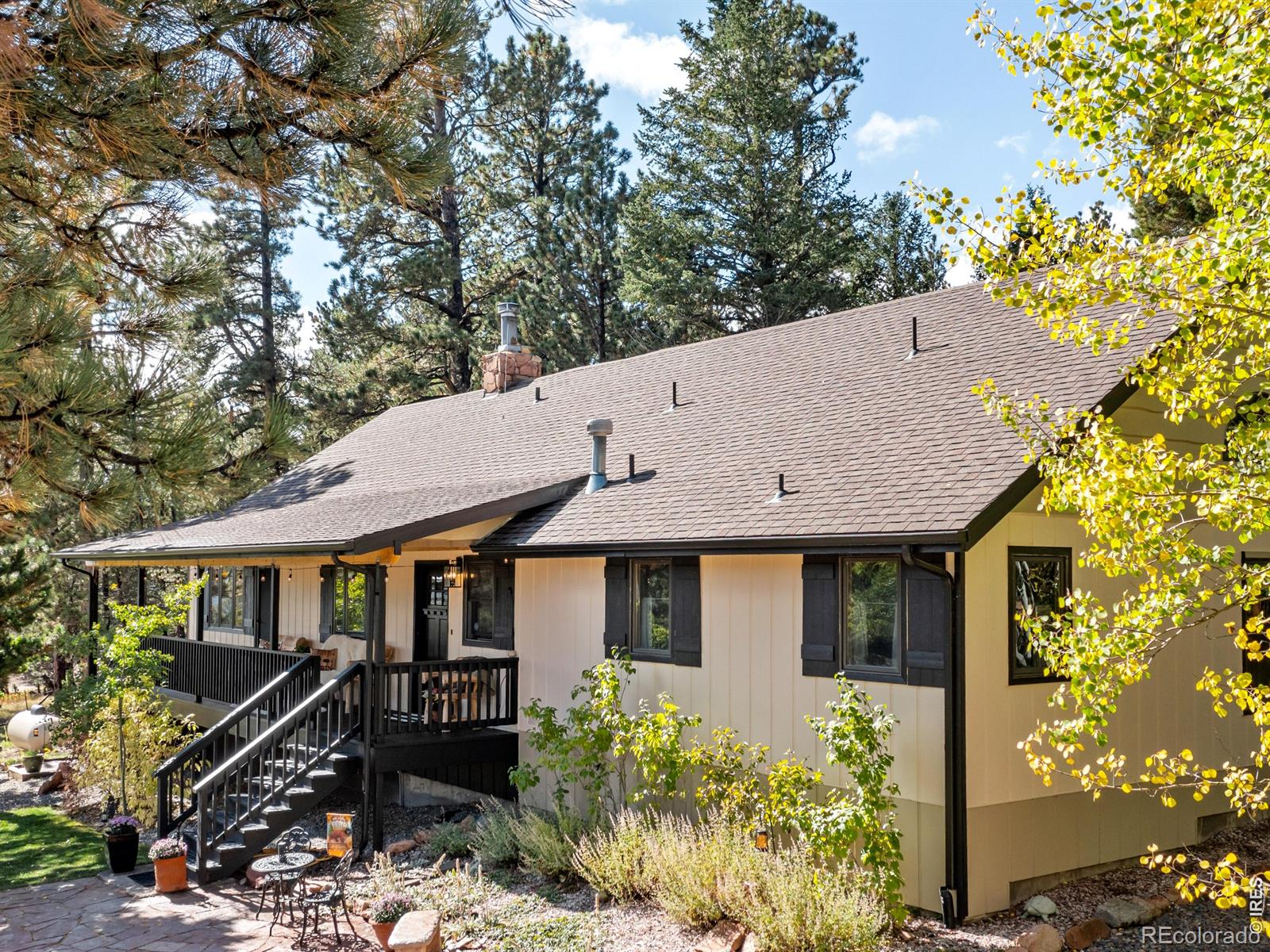 11982  Peak To Peak Drive, allenspark&nbsp; House Search MLS Picture