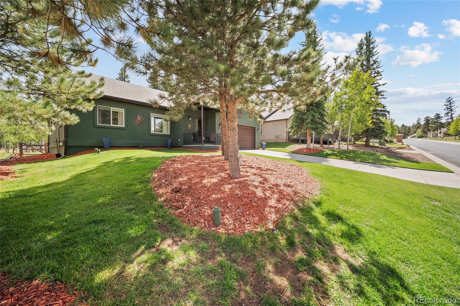 1113  Ptarmigan Drive, woodland park&nbsp; House Search MLS Picture