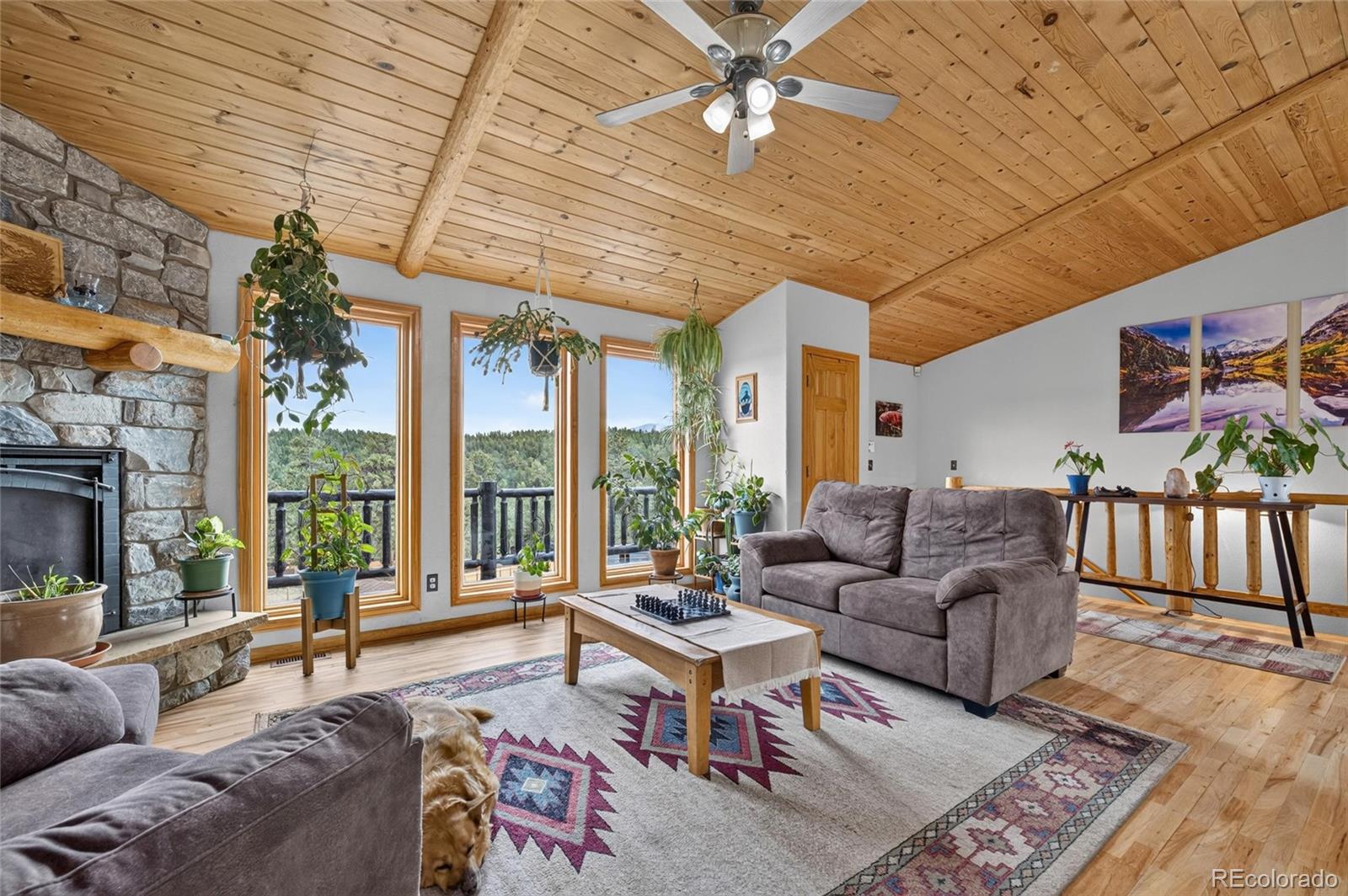 196  Conifer Drive, bailey&nbsp; House Search MLS Picture