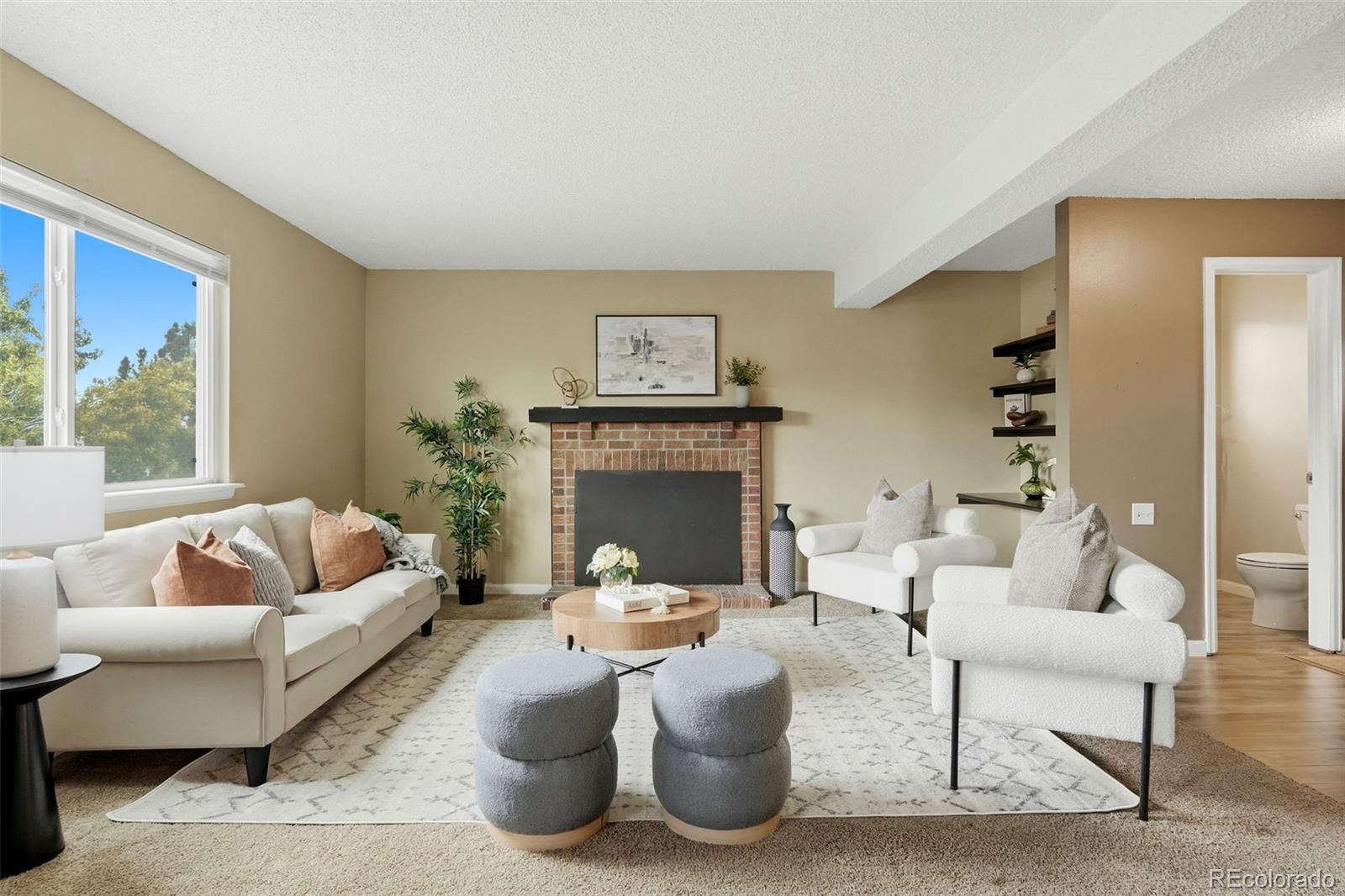 1060  Downing Way, denver&nbsp; House Search MLS Picture