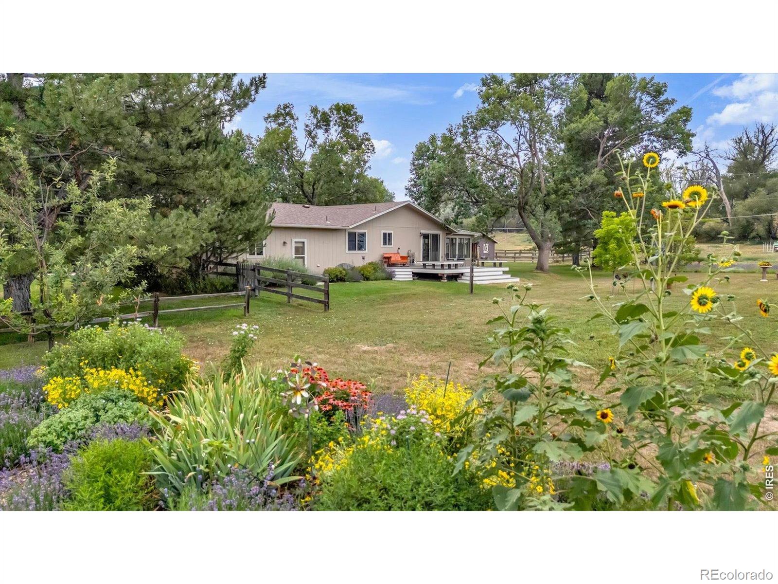 niwot&nbsp; House Search Picture