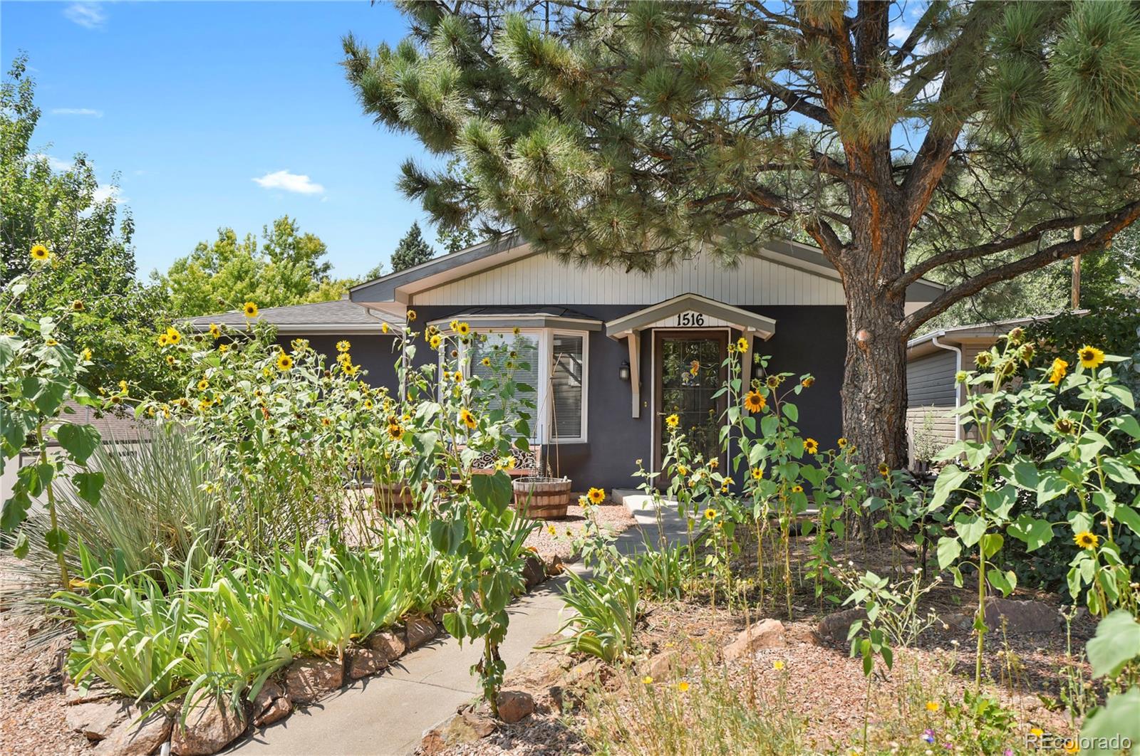 1516  Dorchester Drive, colorado springs&nbsp; House Search MLS Picture