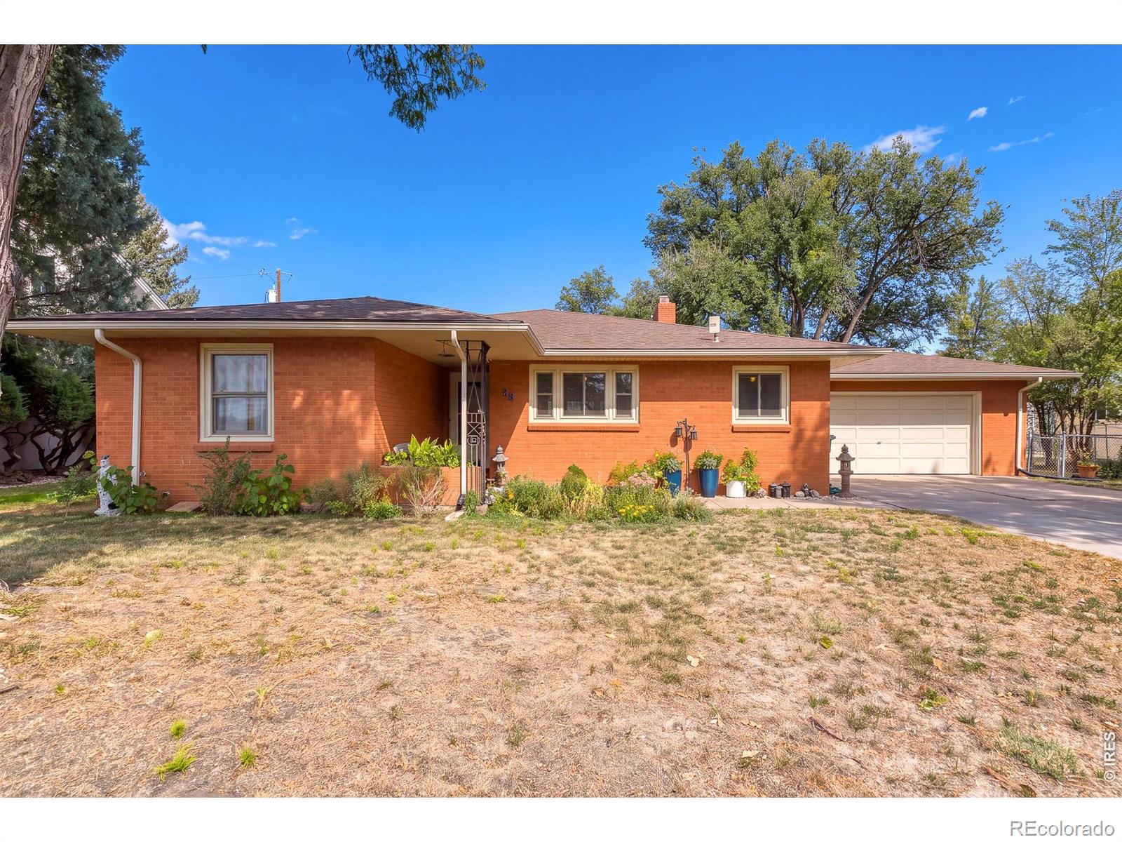 brush&nbsp; House Search Picture