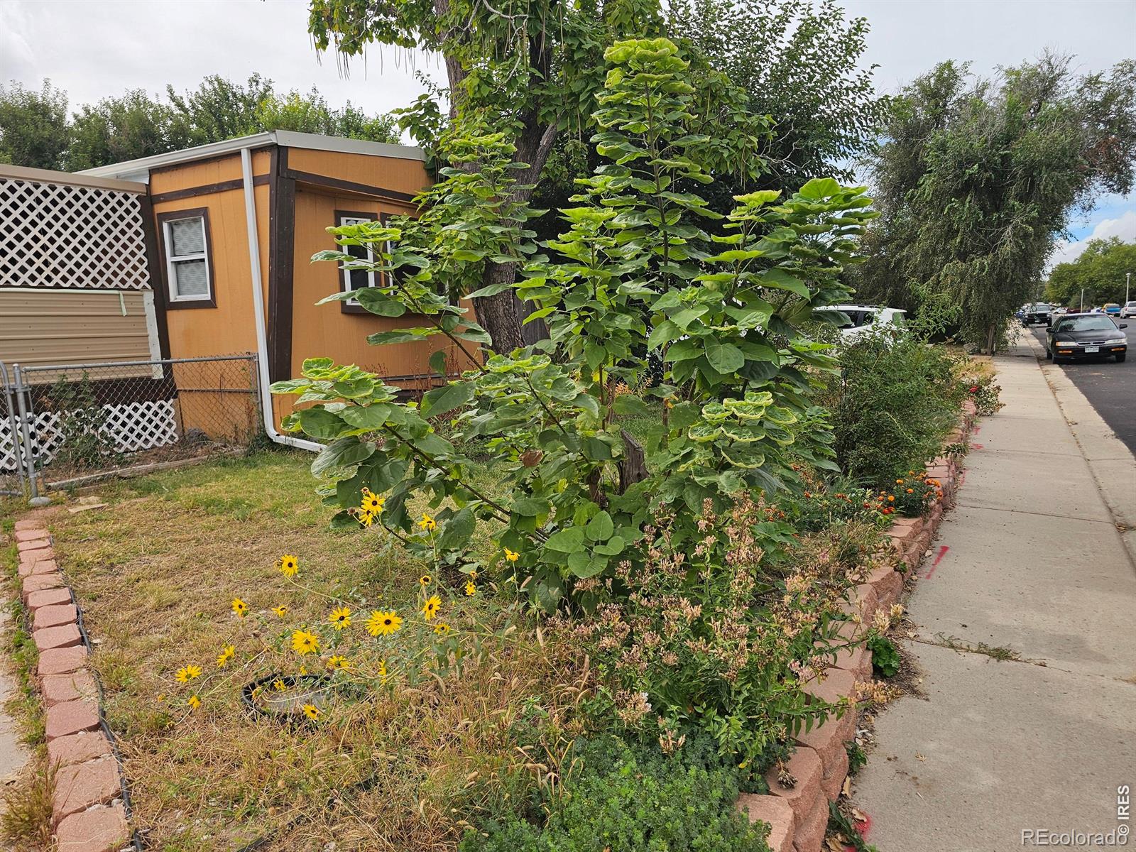 227  Balsam Street, log lane village&nbsp; House Search MLS Picture