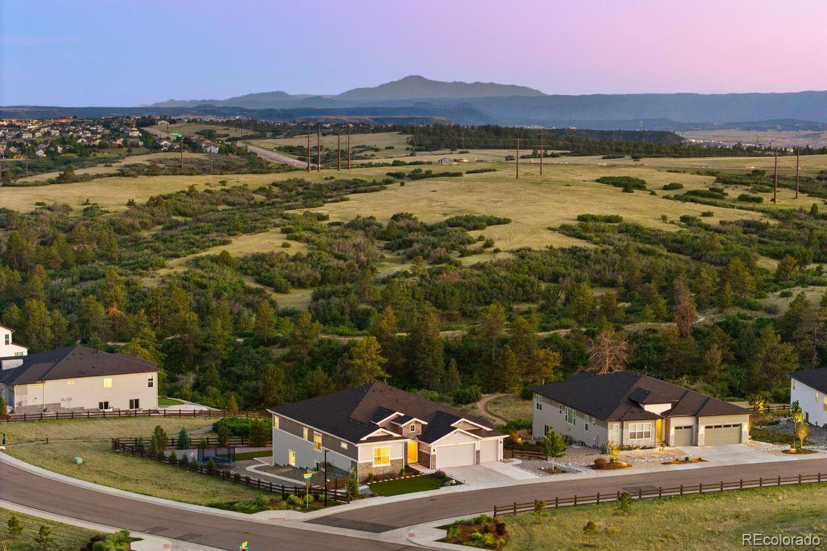 3202  Wingspan Point, castle rock&nbsp; House Search MLS Picture