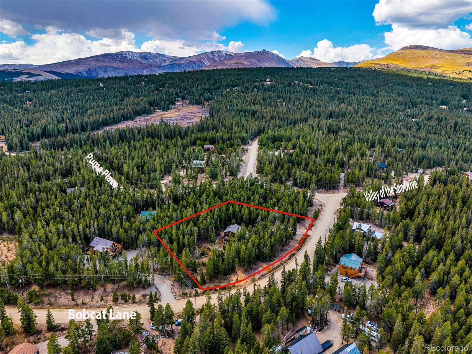 1647  Bobcat Lane, fairplay&nbsp; House Search MLS Picture