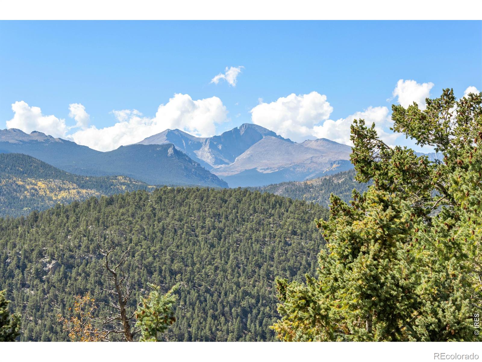 494  Alpine Drive, estes park&nbsp; House Search MLS Picture