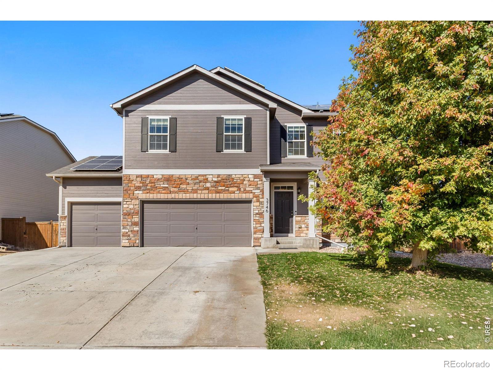 3746  Torch Lily Street, wellington&nbsp; House Search MLS Picture