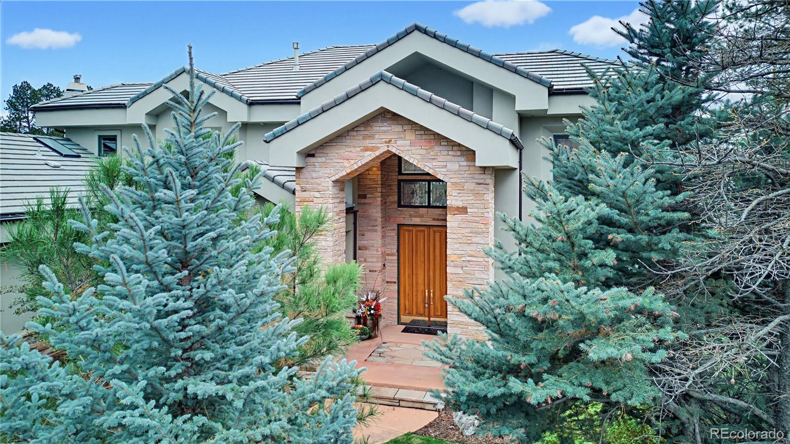 173  Ramshorn Drive, castle rock&nbsp; House Search MLS Picture
