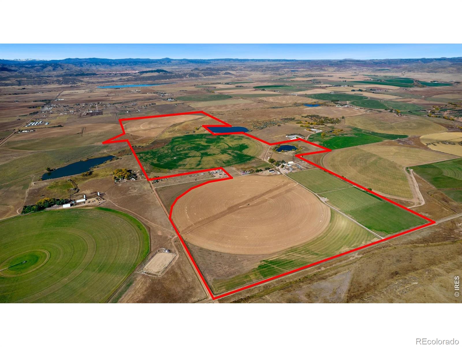 wellington&nbsp; House Search Picture