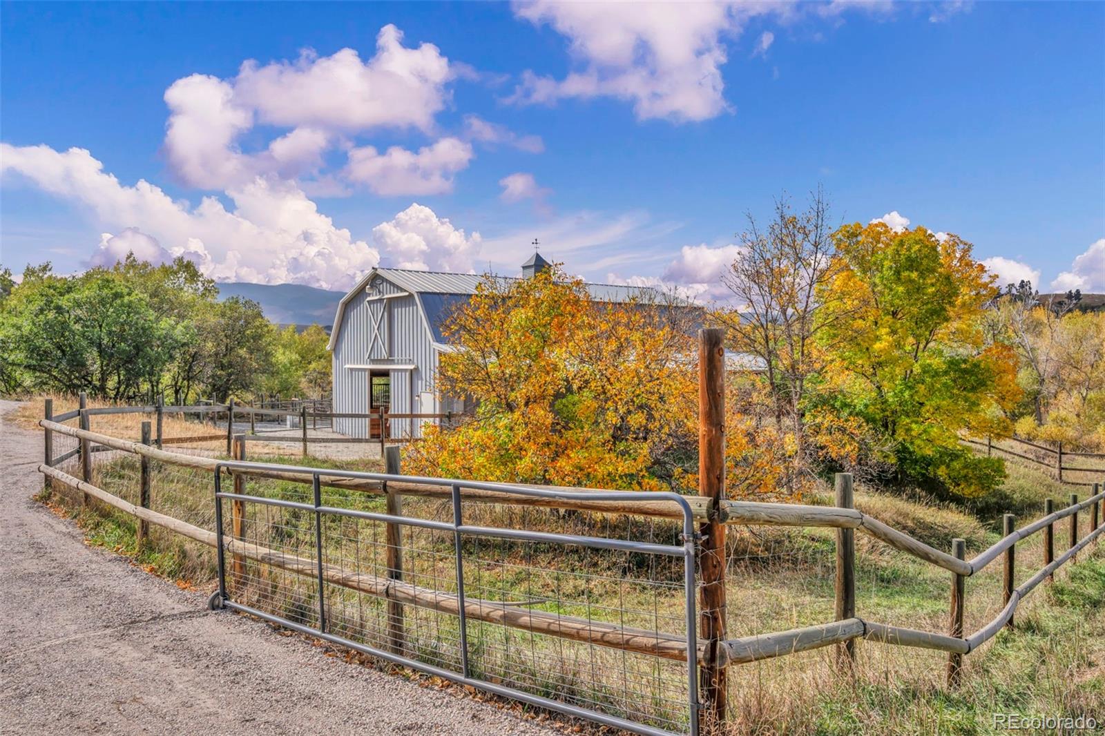 sedalia&nbsp; Horse Properties Search Picture