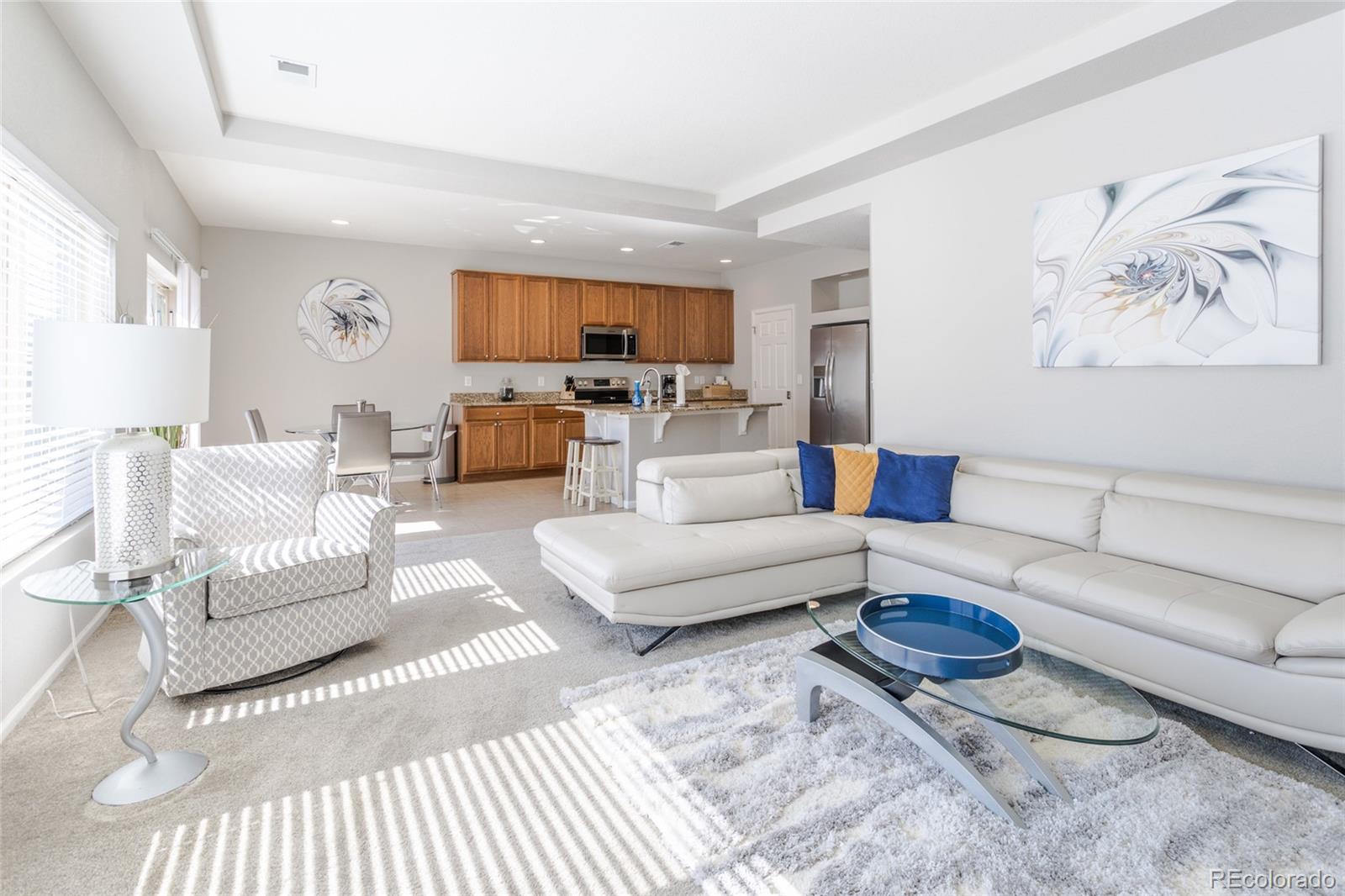 18926  Randolph Place, denver&nbsp; House Search MLS Picture