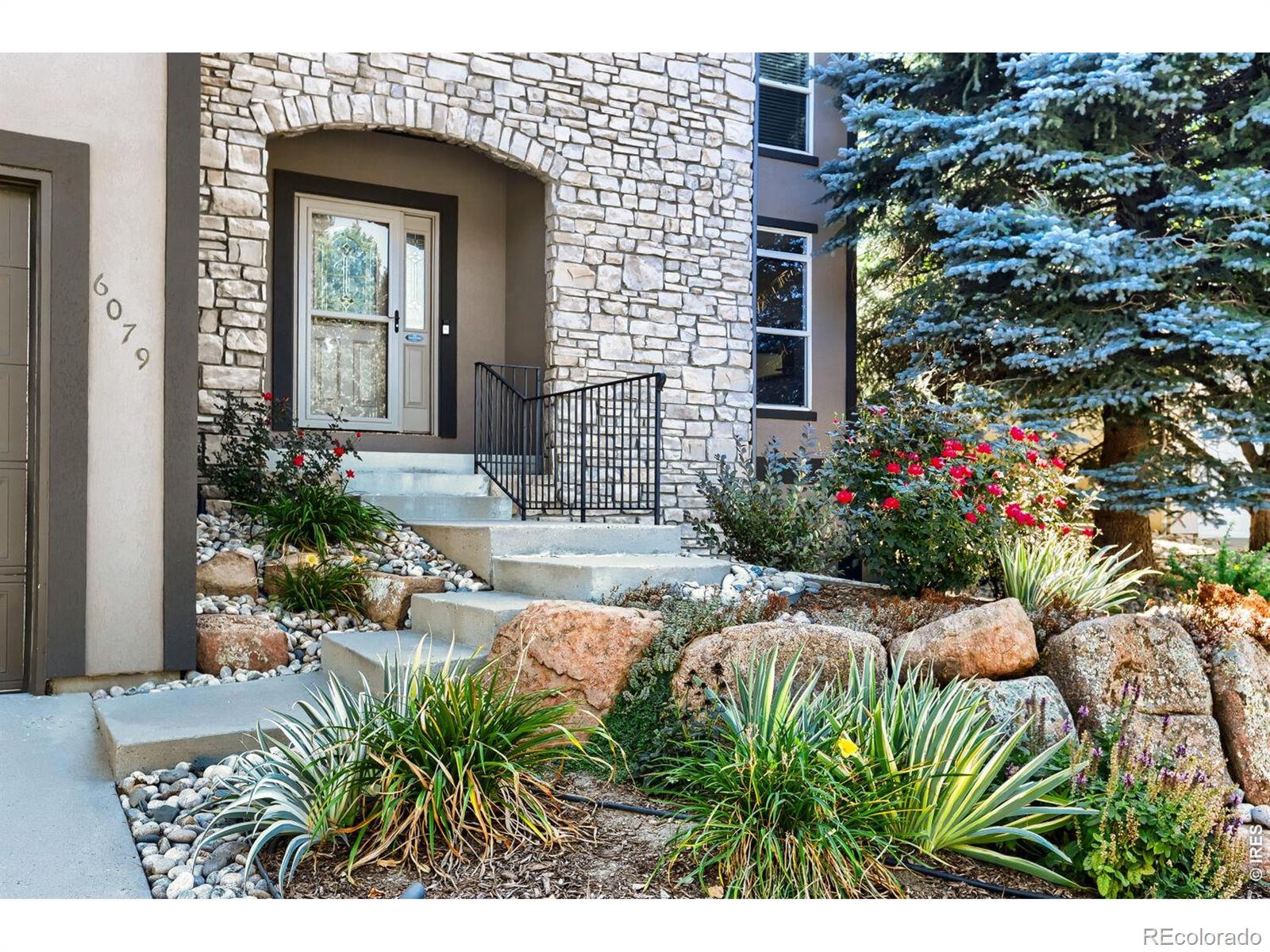 6079  Trevino Court, fort collins&nbsp; House Search MLS Picture