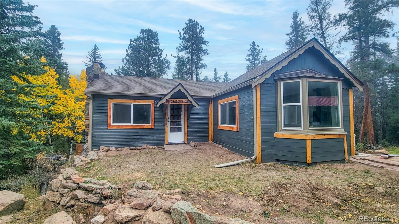 conifer&nbsp; House Search Picture