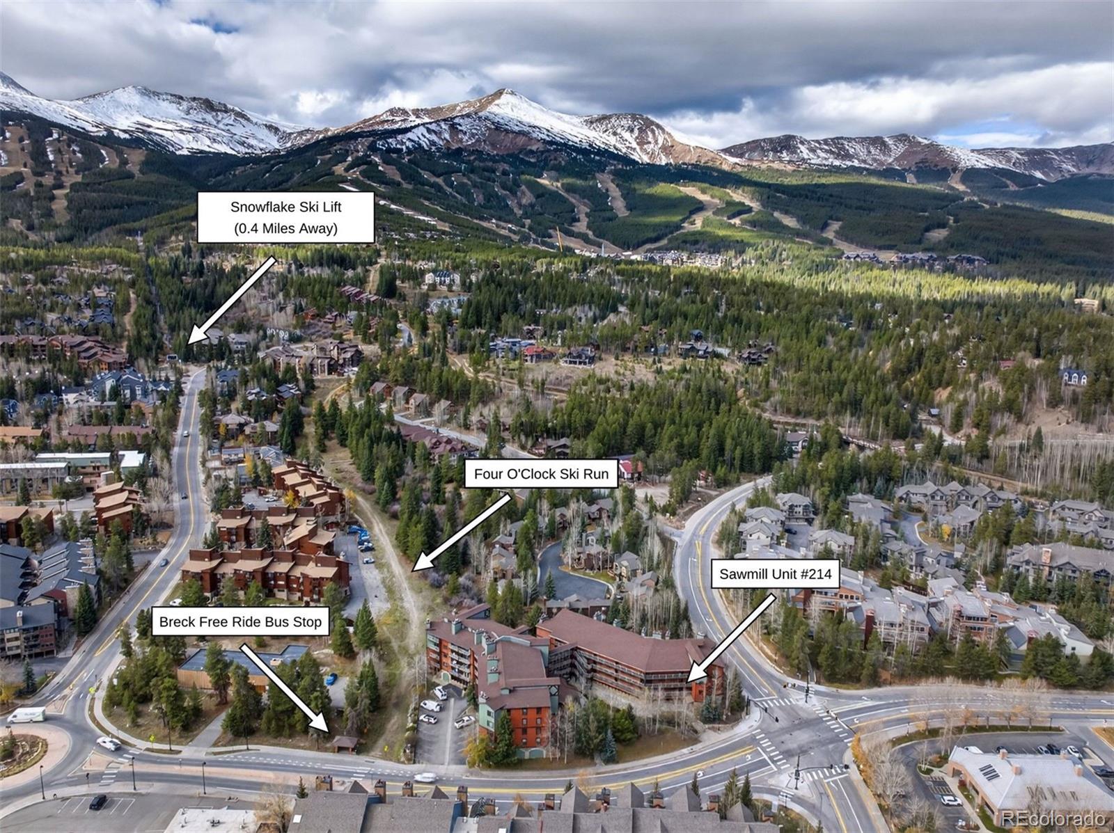 105 S Park Avenue, breckenridge&nbsp; House Search MLS Picture