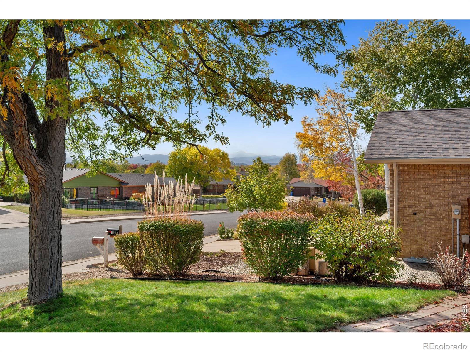 4951  Filbert Drive, loveland&nbsp; House Search MLS Picture