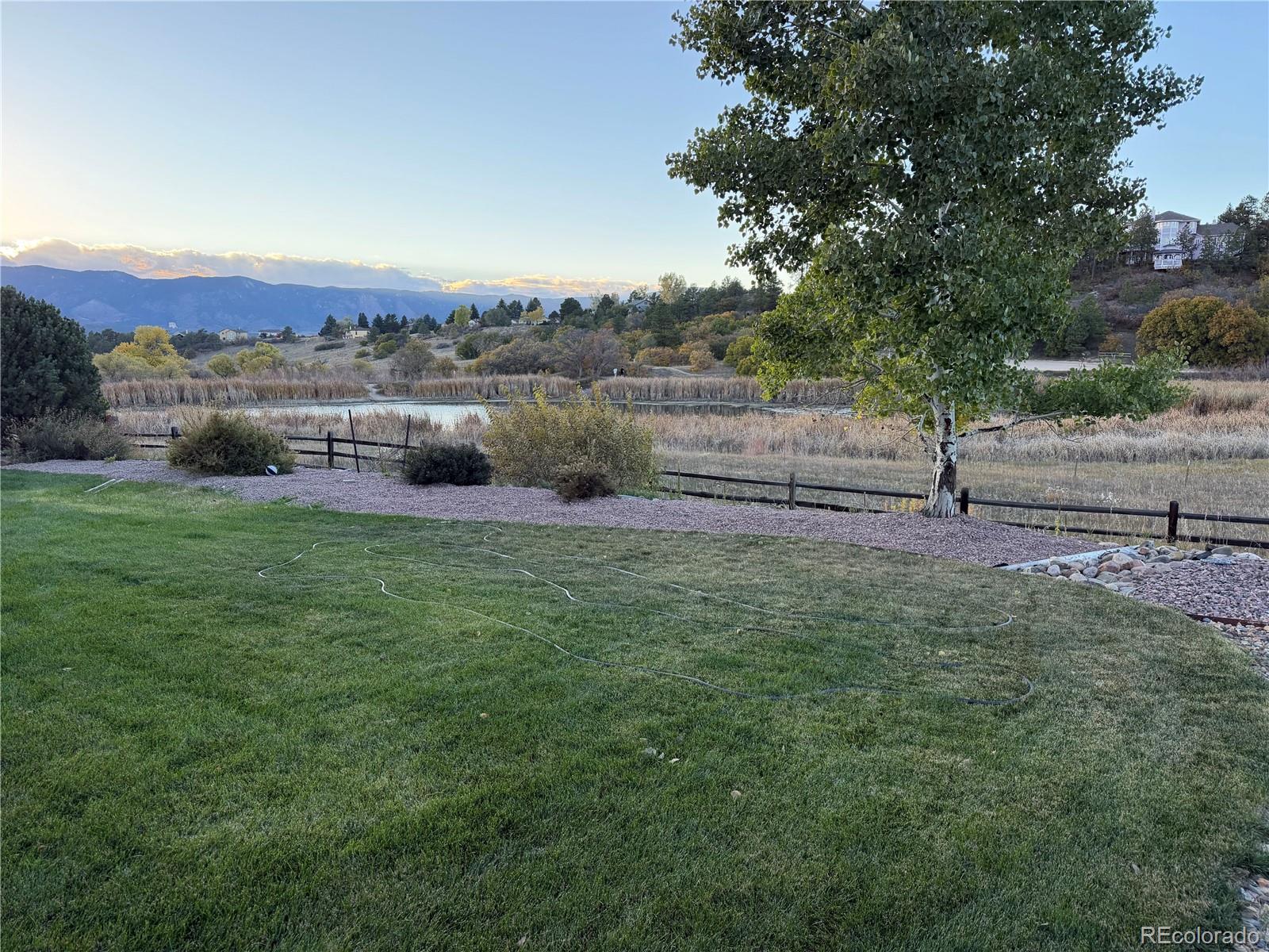 668  Coyote Willow Drive, colorado springs&nbsp; House Search MLS Picture