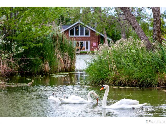 MLS Image #28 for 3696  65th avenue,greeley, Colorado