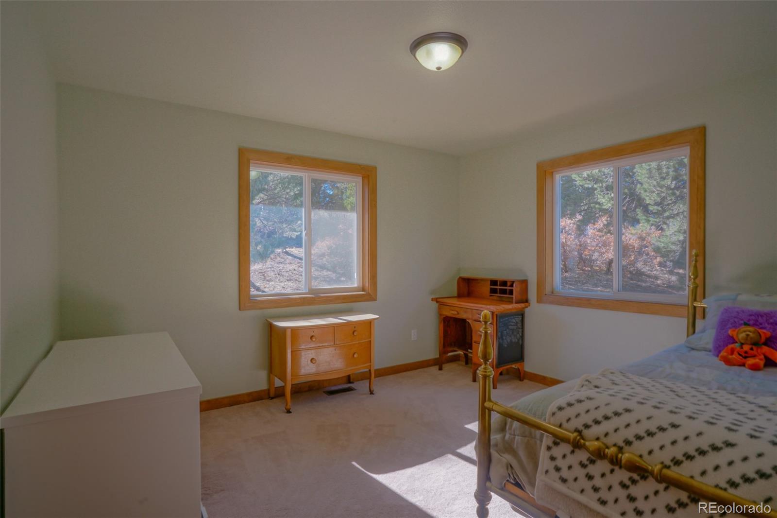 MLS Image #14 for 1771  sunrise road,walsenburg, Colorado