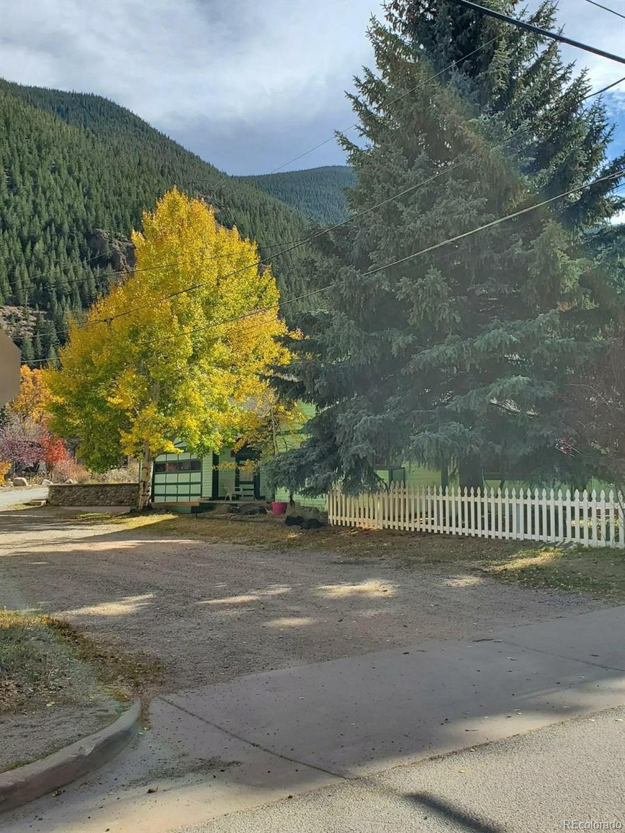 MLS Image #3 for 814  rose street,georgetown, Colorado