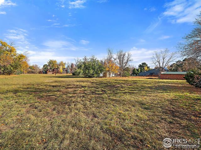 MLS Image #6 for 425  grant avenue,louisville, Colorado