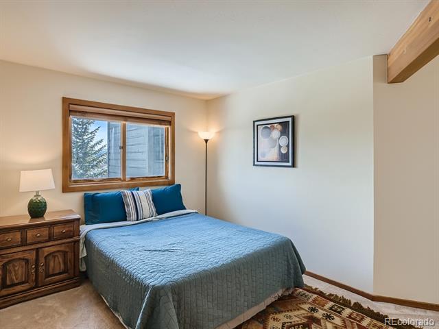 MLS Image #11 for 94300  ryan gulch road,silverthorne, Colorado