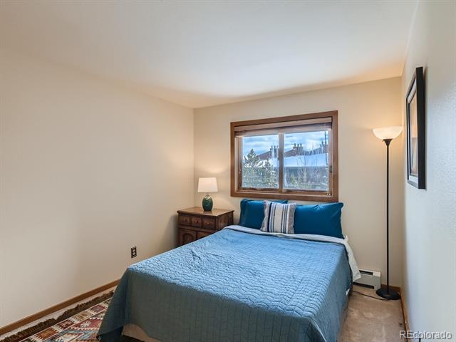 MLS Image #12 for 94300  ryan gulch road,silverthorne, Colorado