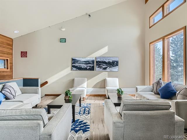 MLS Image #21 for 94300  ryan gulch road,silverthorne, Colorado