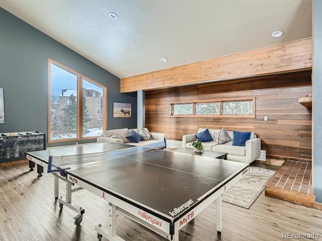 MLS Image #23 for 94300  ryan gulch road,silverthorne, Colorado