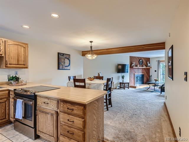 MLS Image #9 for 94300  ryan gulch road,silverthorne, Colorado