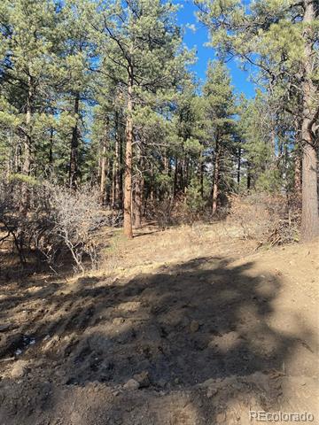 MLS Image #2 for 745  poncho road,larkspur, Colorado