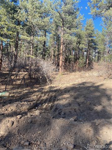 MLS Image #4 for 745  poncho road,larkspur, Colorado