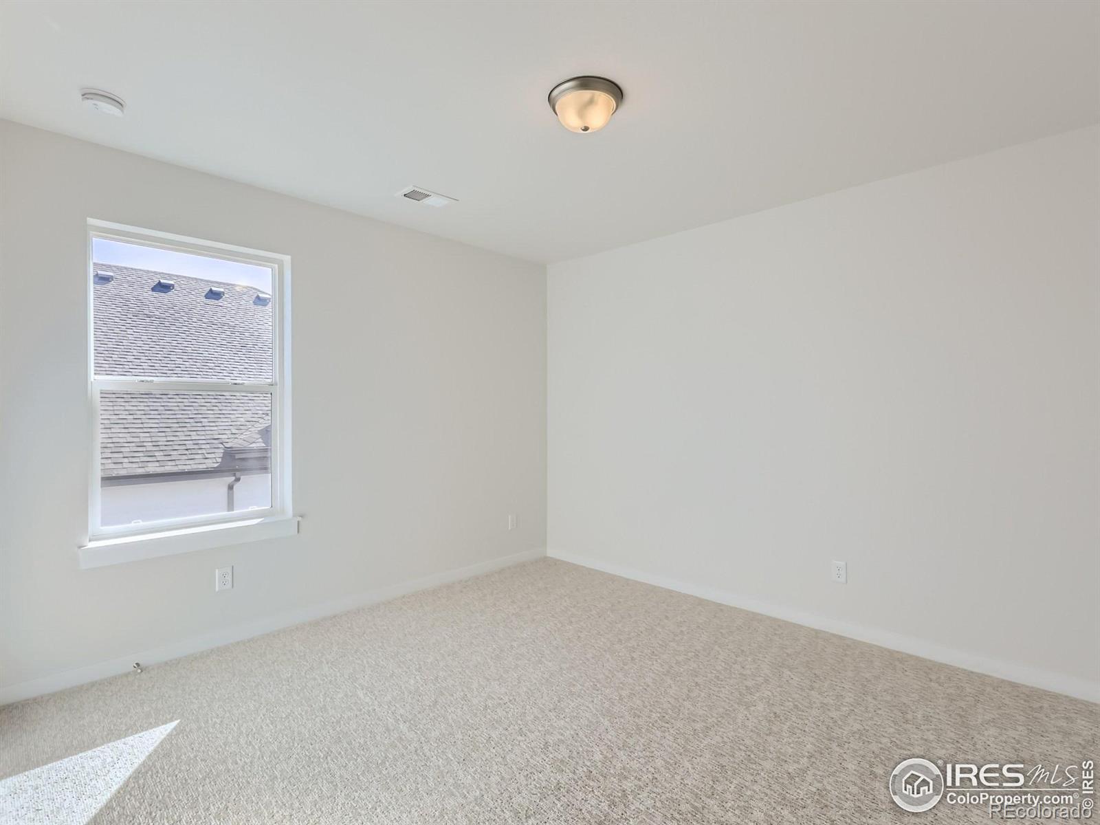 MLS Image #19 for 1843  golden sun drive,windsor, Colorado